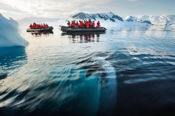 南極探索 (5)